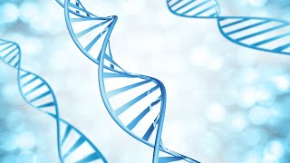 Genetics and MS