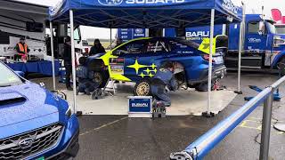 Olympus Rally 2024 Parc Expose and Subaru Motorsports USA Service