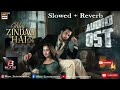 Meri Zindagi Hai Tu - Ost (Slowed + Reverb) | Asim Azhar & Sabri Sisters | Kaise Dil Lage Hai Tu