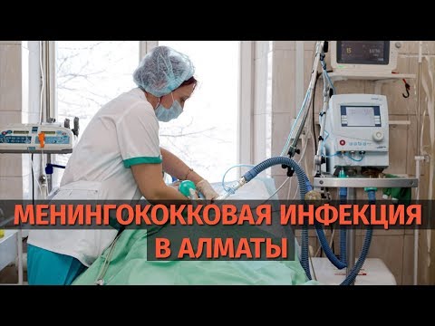 Менингит в Алматы, как лечить и что делать?