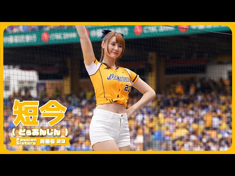 勝利卡農📣 短今（Sammie）Passion Sisters 中信兄弟啦啦隊 cheerleader 치어리더 臺中洲際棒球場 2024/4/14【台湾チアTV】