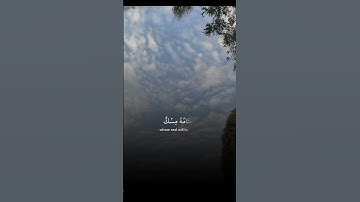#قرآن #قران_كريم #تلاوة_خاشعة #اكسبلور #دويتو #duet #تيك_توك #حالات_واتس #راحة_نفسية #لايك
