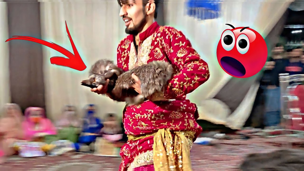MURGA MURGI   TRAIN MAI  Adnan Dancer   Aafaq singer  kashmiri songs  kashmiri song