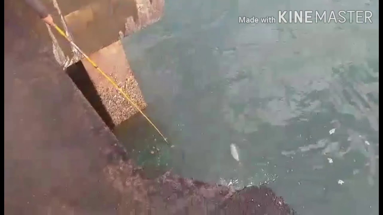 December 24 Mangagoy Bislig pier1 fishing medium light set up talakitok ...