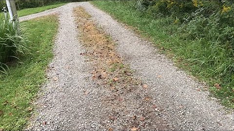 does “table salt” REALLY wipe out￼ weeds (sodium chloride) so simple