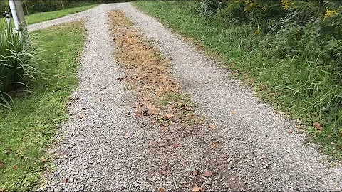 does “table salt” REALLY wipe out￼ weeds (sodium chloride) so simple