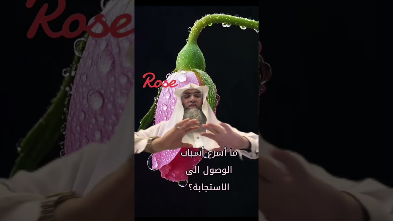 مجموعة من الاسئلة على درب اليقين للشيخ طارق خوالدة حفظه الله🌴