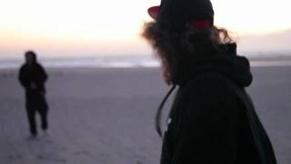 Whyelfiles Venice Beach