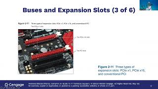 Famous Module 2 - All About Motherboards Profile