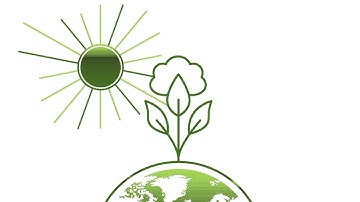 Cotton & the Responsible Use of Pesticides