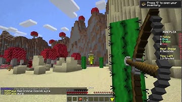 Hacker Report Mineplex #1