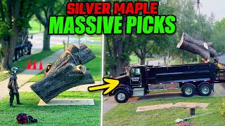 We Spent ALL DAY Removing This $20,000 Tree!