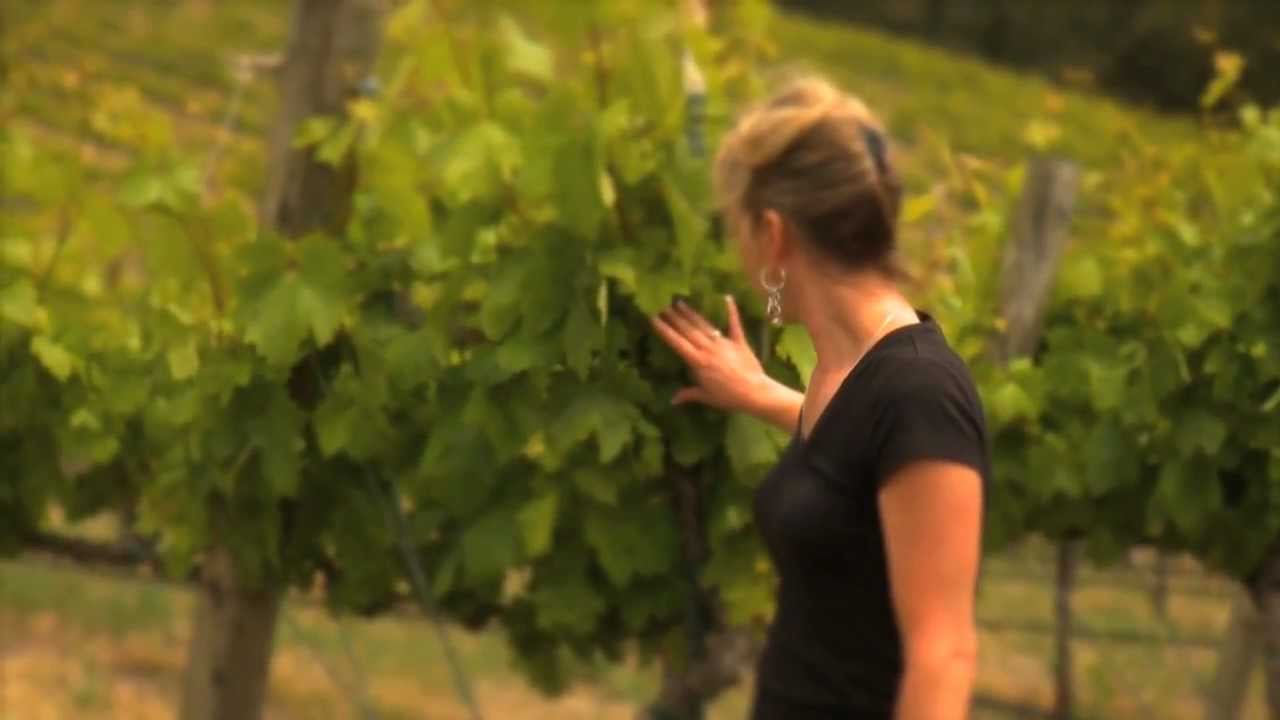 Cellar Angels Presents Reynoso Vineyards in Alexander Valley YouTube