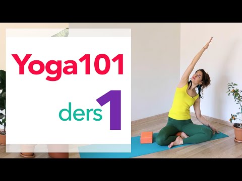 Yoga101 / 1