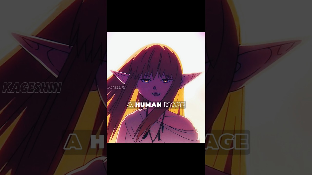 Only a HUMAN mage can OFF frieren | 