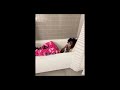 *Free* Babystaydown + Pradabagshawty type beat -"Alone" [p.5thindi]