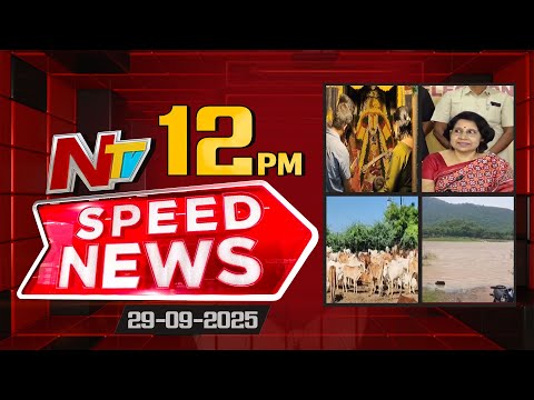 Speed News | 12 PM News Headlines | 29-09-2025 | NTV Telugu - NTVTELUGU