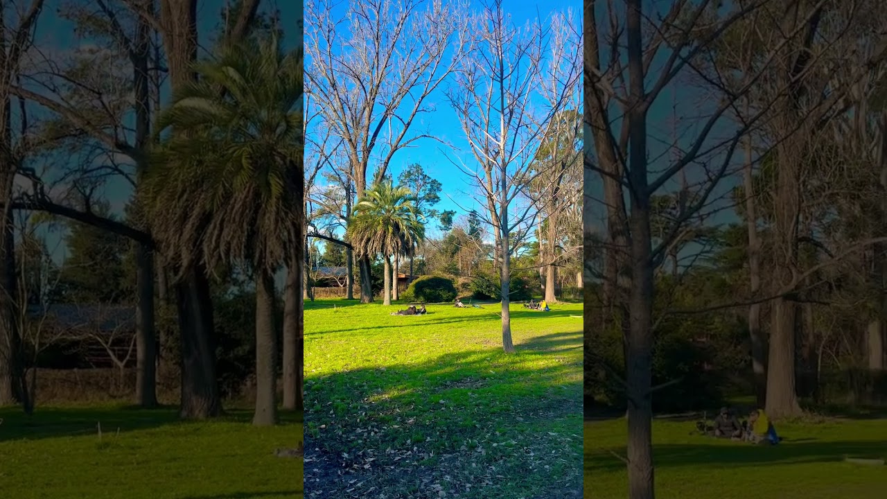 Fue una hermosa jornada en el predio de la facultad de Agronomía de la #uba #shorts #buenosaires