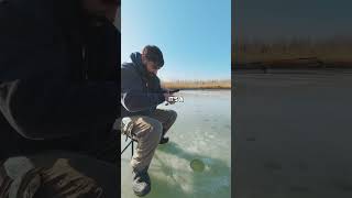 Walking on Water for Big Fish