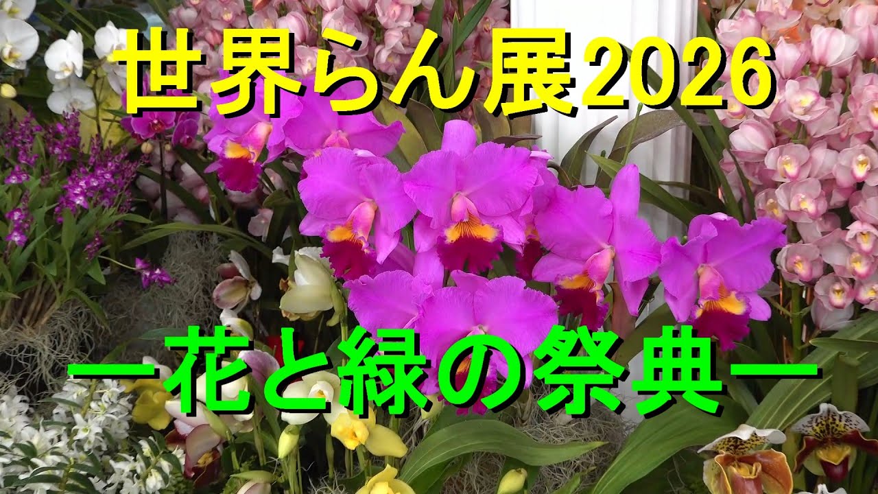 4K］世界らん展2026 ー花と緑の祭典ー Japan Grand Prix International