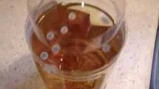 When Apple Juice Goes BAD, UFO Comes Out.......