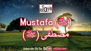 Mustafa Mustafa ﷺ New Naat | Hafiz Tahir Qadri & Hamza Qadri | WhatsApp Status