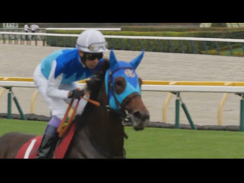 アイルランドT 返し馬 アドマイヤマツリ他、人気馬軒並み2桁馬体増！ボンドガールだけプラス2