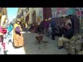 Rondreis Bolivia & Peru | Djoser