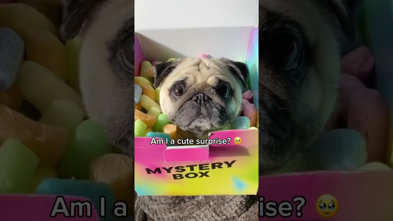Mystery box 😍📦 