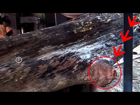 A Very Painful Test || Sawing Deformed Ancient Wood || sawmill