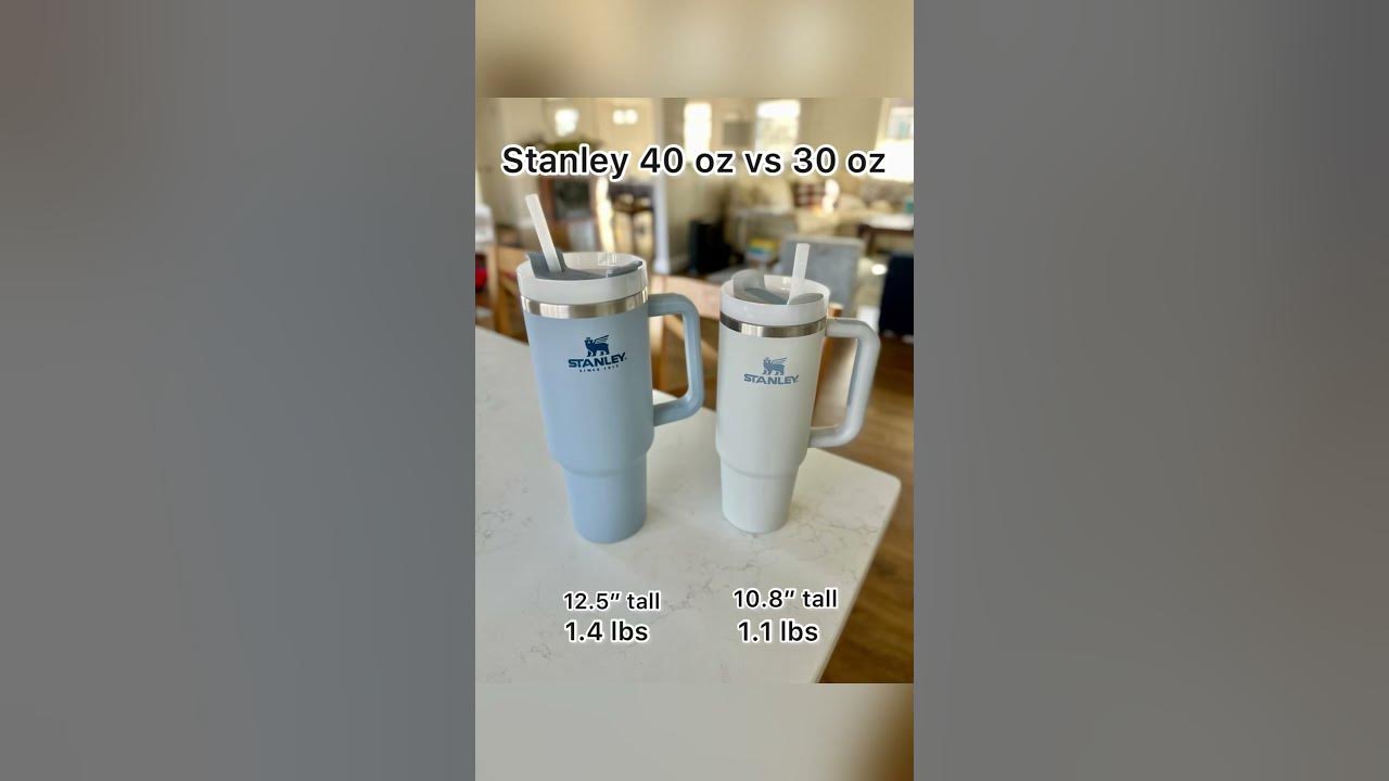 IS IT WORTH IT? New Stanley Tumbler 30oz vs 40oz 