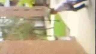 Gifs animados graciosos parte 87