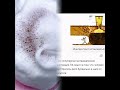 @цифродерзость #ииюмор #ботжжот #нейросрач #коротыш