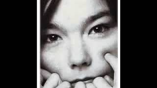 Björk : w/808 State  Qmart 1991 mp4
