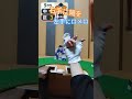 ロメロ グラブ投げ 【ゆび野球】