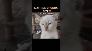 😂5th ke baad Maths ne sabki waat laga di! 📚 #shorts @FunnyCat