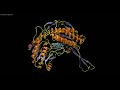 Molecular Dynamics Simulation Video
