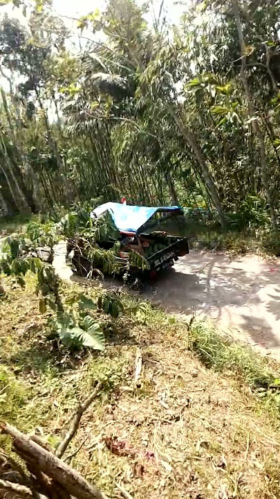 jualan buah semangka keliling