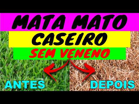MATA MATO CASEIRO SEM VENENO | EM APENAS 3 DIAS ELIMINA MATOS E ERVAS DANINHAS, MUITO FÁCIL!