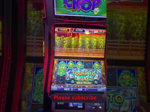 Gioca al Casino Jet: Il Miglior Casinò Online in Italia