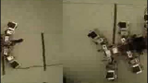 Omnidirectional walking under neural control