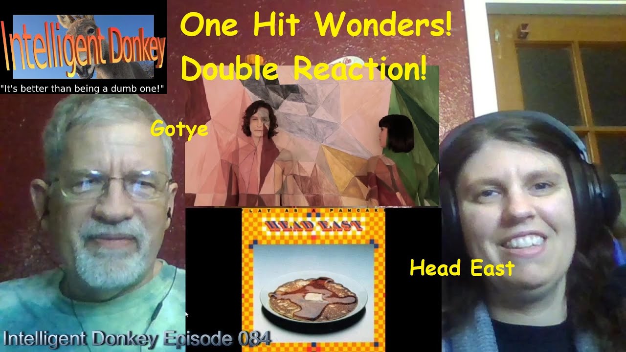 One Hit Wonders Double Reaction Head East Gotye Intelligent Donkey