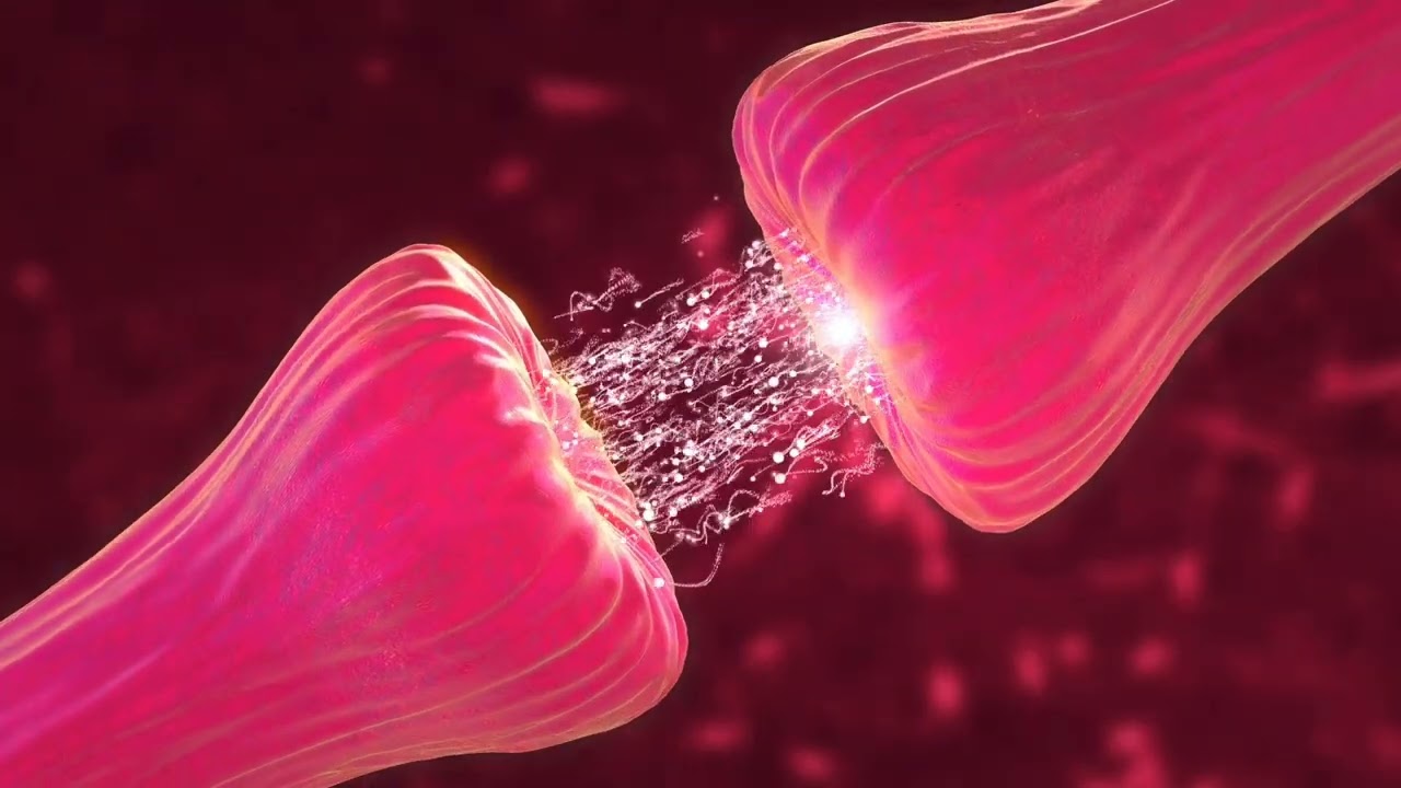 Secrets of the Human Endocannabinoid System