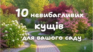 : 10       .