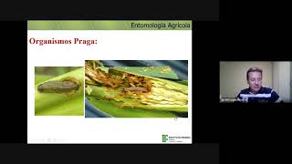 Entomologia Agrícola - Aula 2: MIP