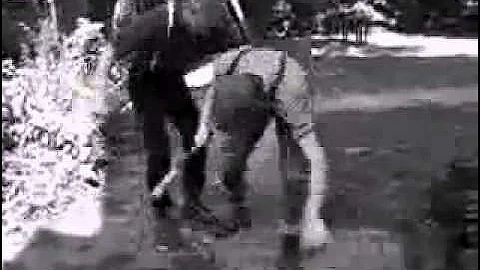 SkinFlicks -- I Hate Hippies