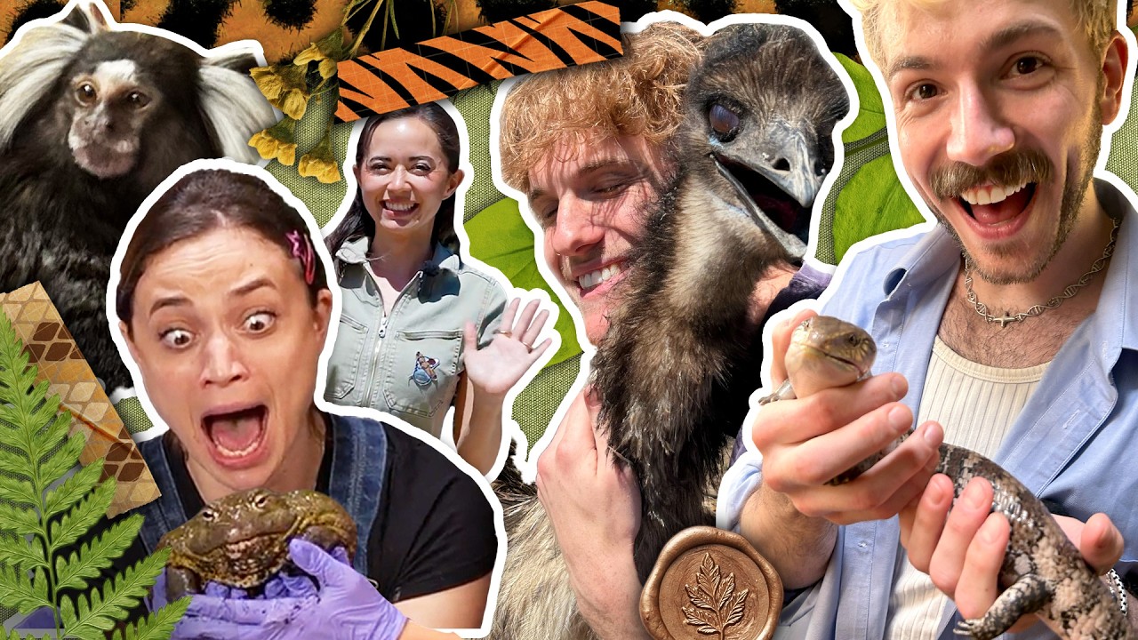 Smosh Finally Learns Animals w/ @AlveusSanctuary