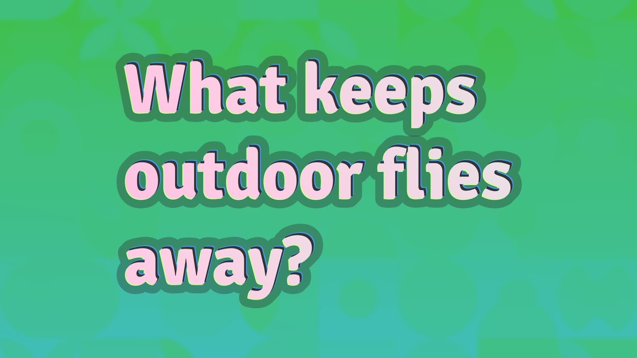 What keeps outdoor flies away? YouTube