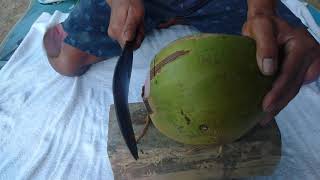 Unboking  kelapa hijau wulung