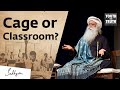 Caged in a Classroom? Sadhguru on the Great Student Predicament | Shemaroo Spiritual Life